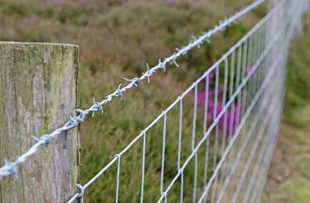 Barbed Wire Fence in San Mateo, California