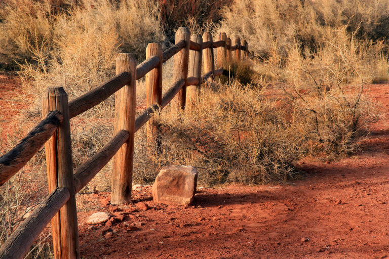 Tips for Choosing Fencing in Desert Climates