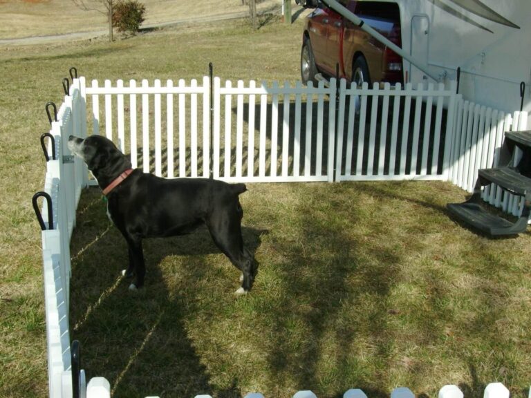 Fencing in Pet Safety