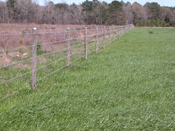 Fencing in Flood-Prone Areas