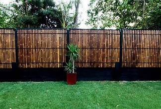 The Pros And Cons of Bamboo Fencing