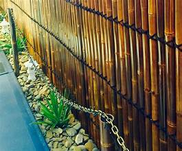 The Pros And Cons of Bamboo Privacy Fencing